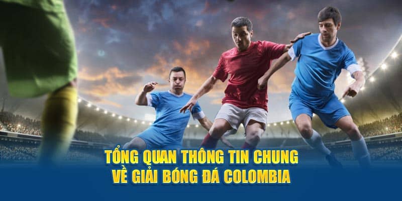 Tổng quan thông tin chung về giải bóng đá Colombia tại Five88